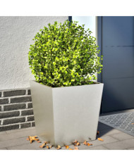 Jardinières 2 pcs 50x50x50 cm acier inoxydable | Mobilier & Déco