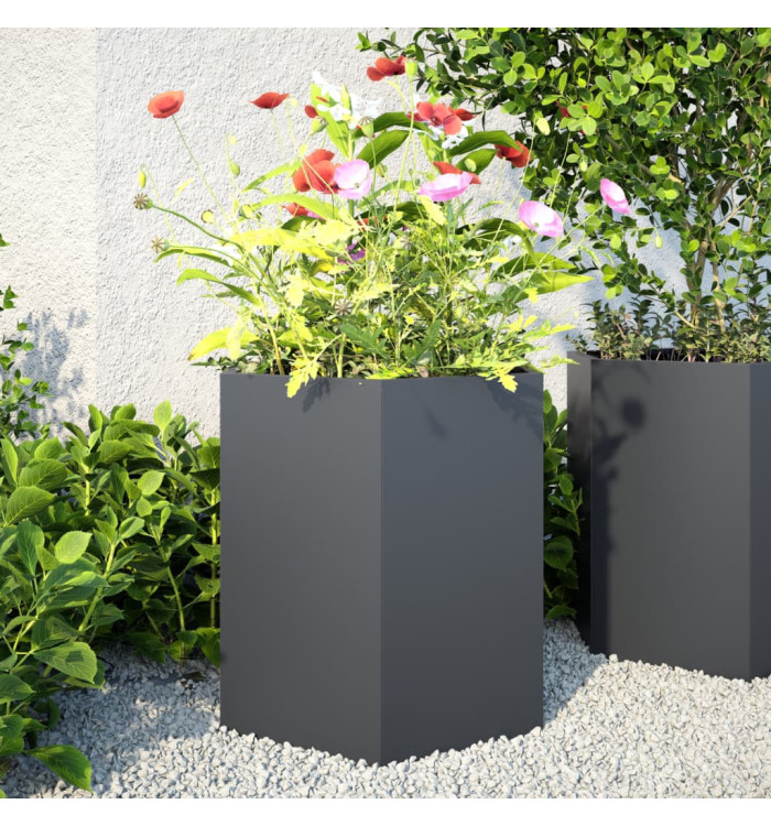 Jardinières 2 pcs anthracite hexagone 46x40x45 cm acier | Mobilier & Déco