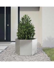 Jardinière hexagone 69x60x45 cm acier inoxydable | Mobilier & Déco