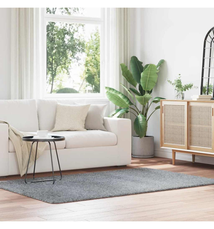 Tapis Shaggy à poils longs NAVARRA gris argenté 130x200 cm | Mobilier & Déco