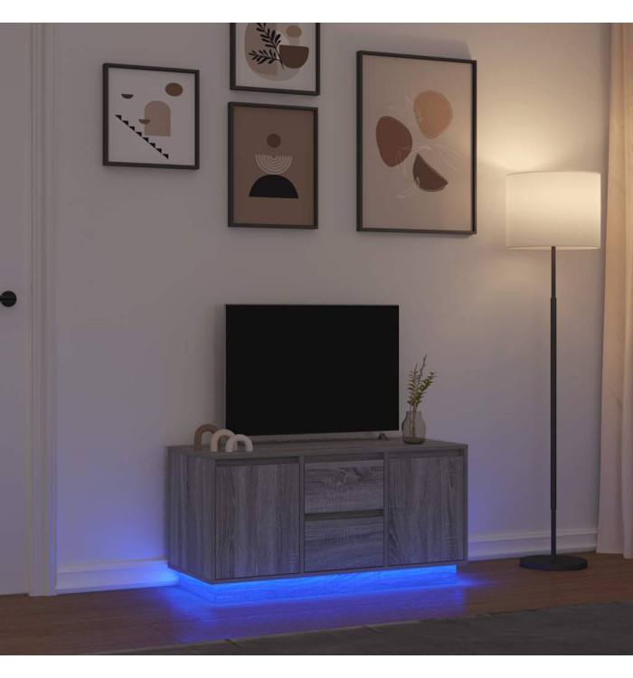 Meuble TV avec lumières LED sonoma gris 100x41x50 cm | Mobilier & Déco