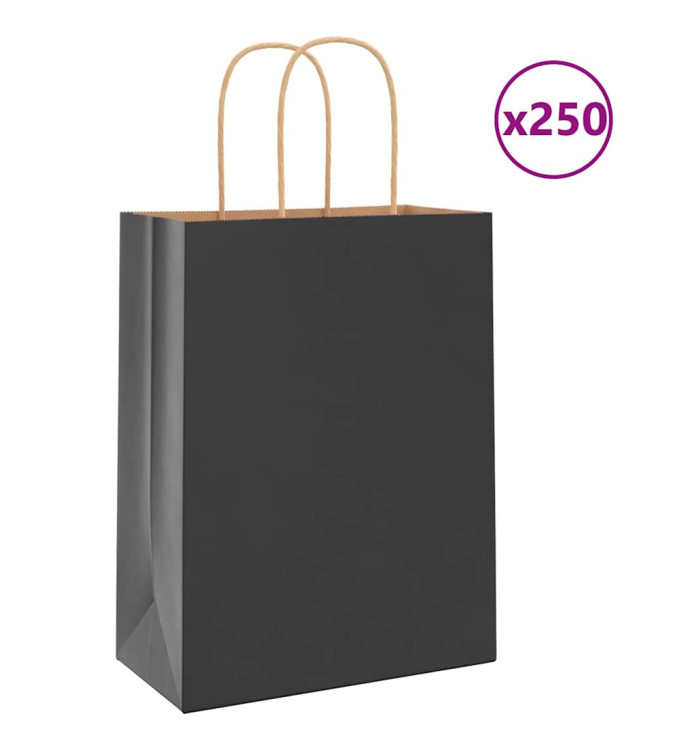 Sacs en papier 250 pcs avec poignées noir 21x11x28 cm | Mobilier & Déco