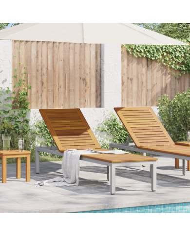 Chaise Longue Grise 200x55x35 cm Bois de Teck Massif | Mobilier & Déco