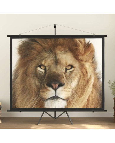 Écran de projection avec trépied 100" 4:3 | Mobilier & Déco