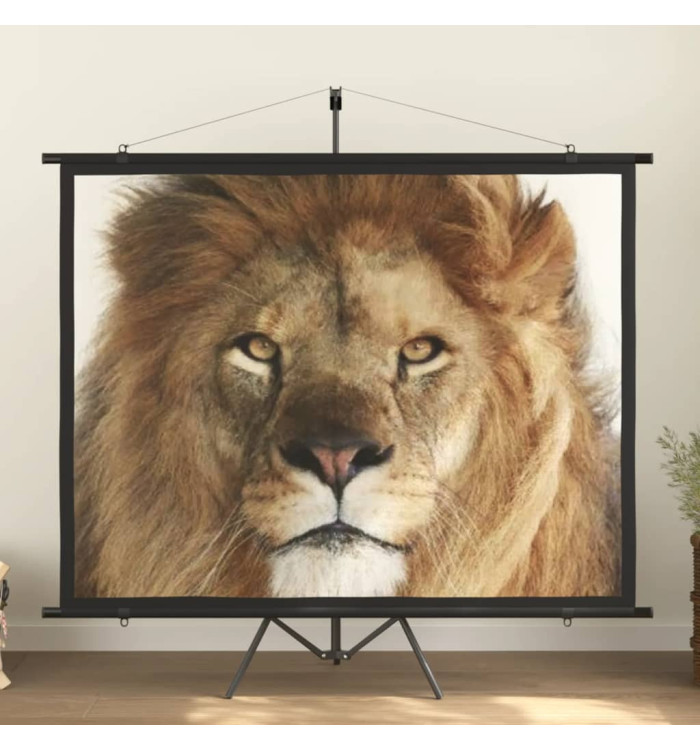 Écran de projection avec trépied 100" 4:3 | Mobilier & Déco