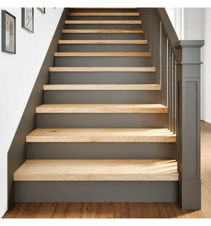 Marches d'escalier 2 pcs non traité bois de chêne massif | Mobilier & Déco