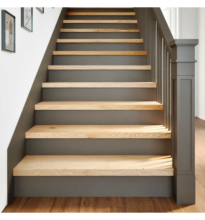 Marches d'escalier 2 pcs non traité bois de chêne massif | Mobilier & Déco