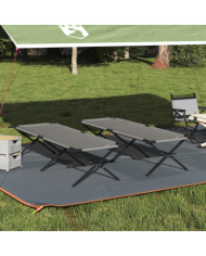 Lits de soleil pliants 2 pcs avec sac de transport Gris Tissu Oxford 600D | Mobilier & Déco