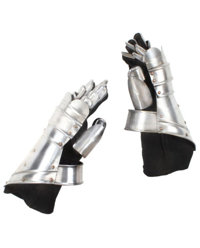Gantelets de chevalier médiéval GN Argenté Acier | Mobilier & Déco