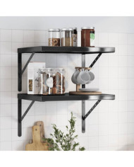 Étagères murales 2 pcs 50x40 cm noir acier inoxydable | Mobilier & Déco