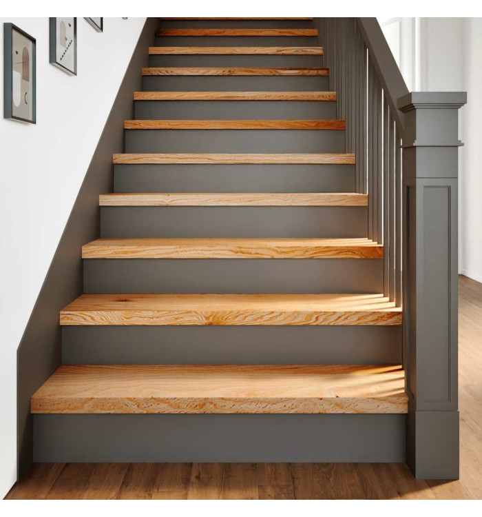 Marches d'escalier 4 pcs marron clair 100x30x2 cm chêne massif | Mobilier & Déco