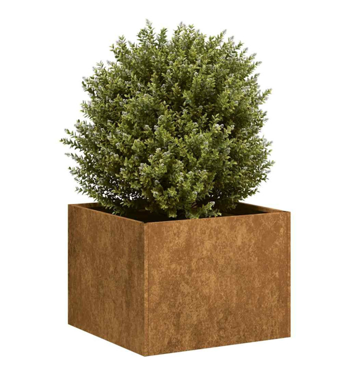 Jardinière rouillé 40x40x30 cm acier inoxydable | Mobilier & Déco