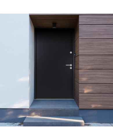 Porte d'entrée Aluminium Anthracite 110x207,5 cm | Mobilier & Déco