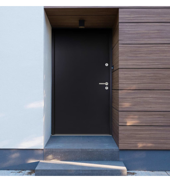 Porte d'entrée Aluminium Anthracite 110x207,5 cm | Mobilier & Déco