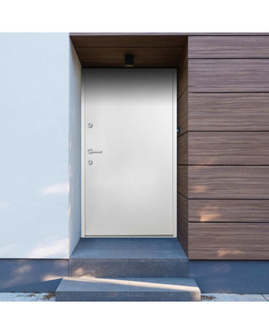 Porte d'entrée Aluminium Blanc 100x200 cm | Mobilier & Déco