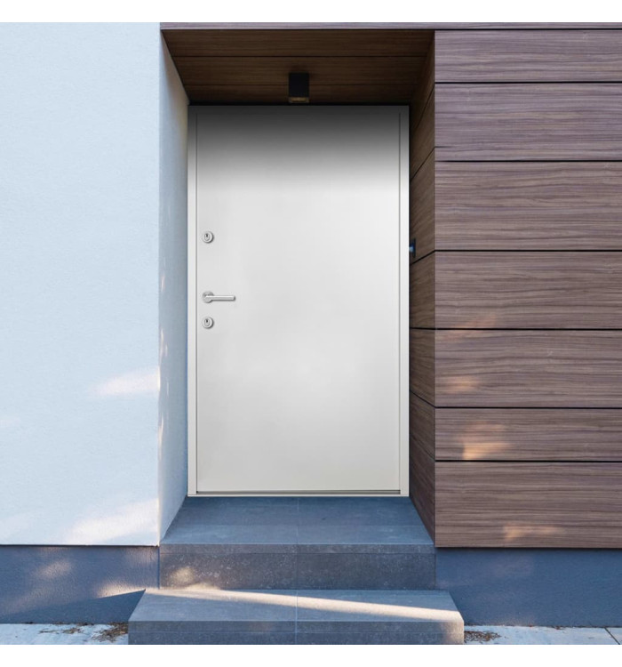 Porte d'entrée Aluminium Blanc 100x200 cm | Mobilier & Déco