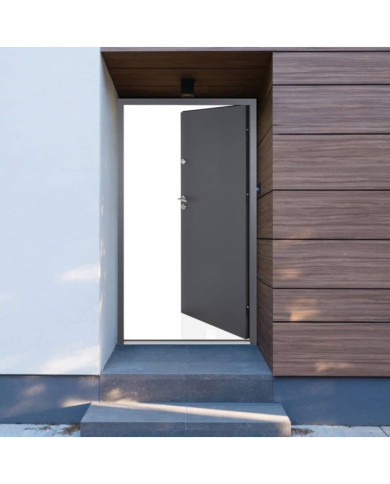 Porte d'entrée Anthracite 110x207,5 cm aluminium | Mobilier & Déco