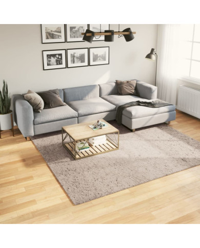 Tapis shaggy PAMPLONA poils longs moderne beige 240x240 cm | Mobilier & Déco