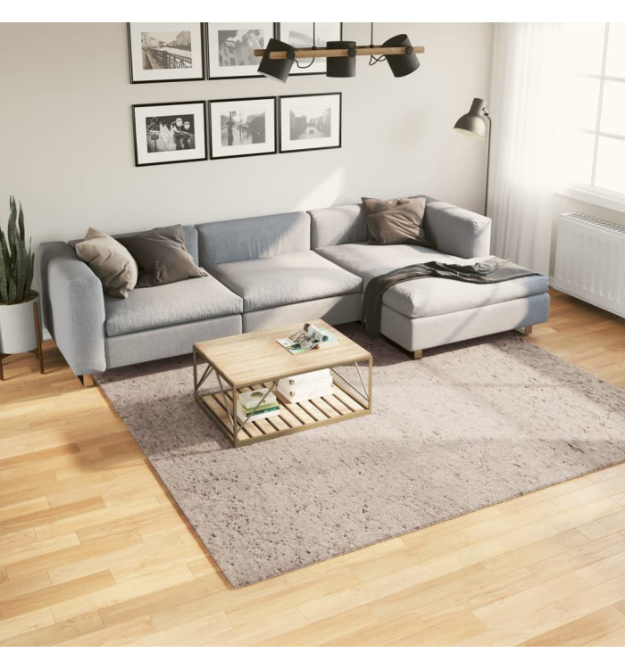 Tapis shaggy PAMPLONA poils longs moderne beige 240x240 cm | Mobilier & Déco