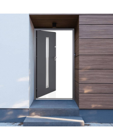 Porte d'entrée Anthracite 110x207,5 cm aluminium | Mobilier & Déco