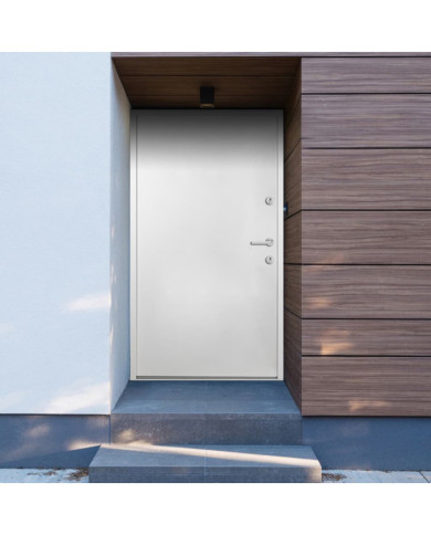 Porte d'entrée Aluminium Blanc 100x200 cm | Mobilier & Déco