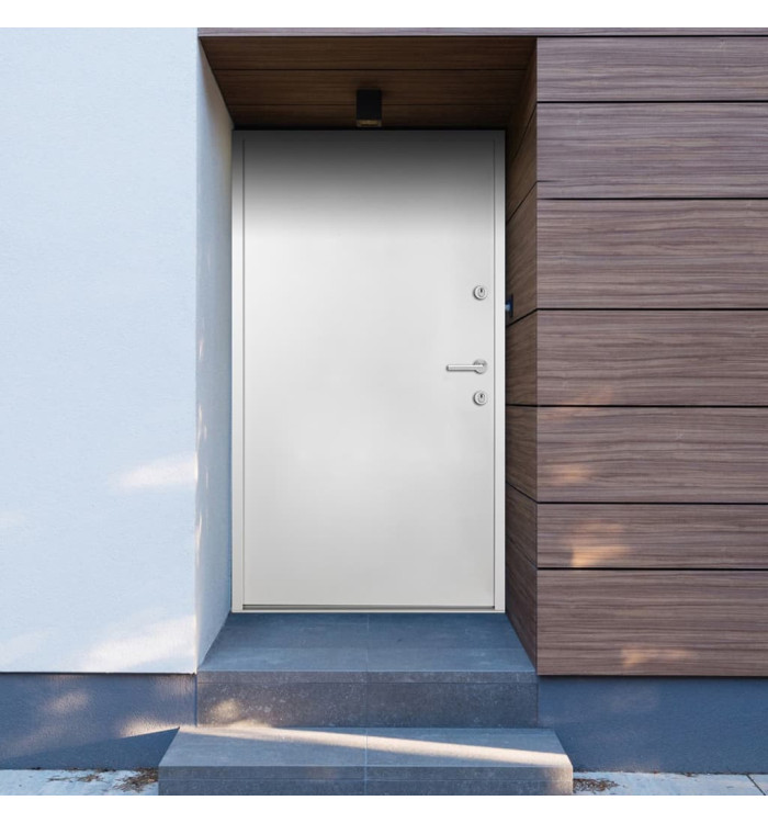 Porte d'entrée Aluminium Blanc 100x200 cm | Mobilier & Déco