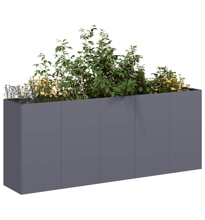 Jardinière anthracite 200x40x80 cm acier laminé à froid | Mobilier & Déco
