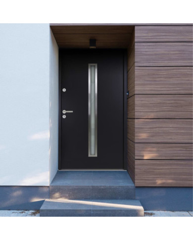 Porte d'entrée Aluminium Anthracite 90x200 cm | Mobilier & Déco
