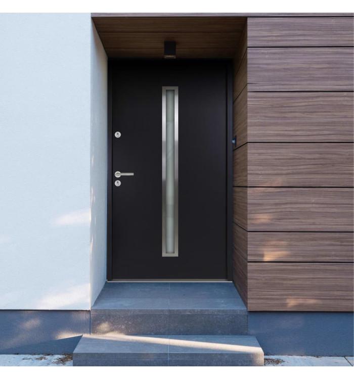 Porte d'entrée Aluminium Anthracite 90x200 cm | Mobilier & Déco