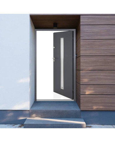 Porte d'entrée anthracite 100x200 cm aluminium | Mobilier & Déco