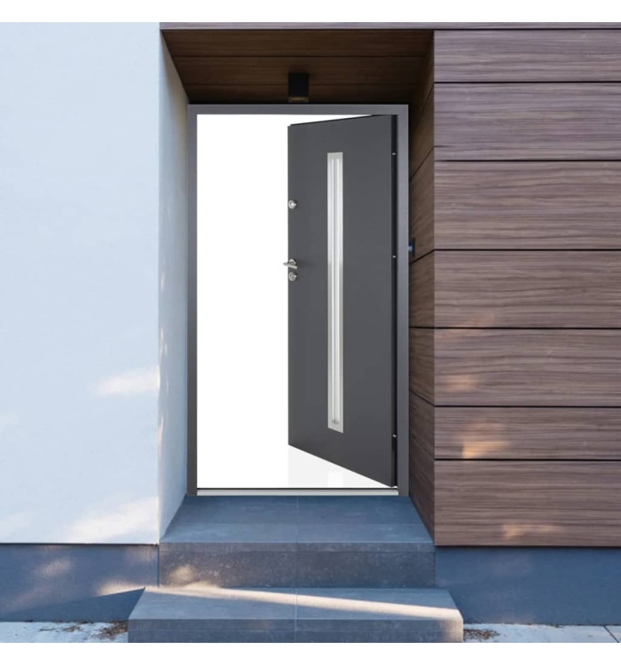 Porte d'entrée anthracite 100x200 cm aluminium | Mobilier & Déco