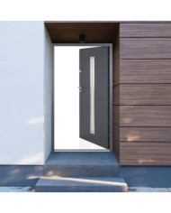 Porte d'entrée anthracite 100x200 cm aluminium | Mobilier & Déco