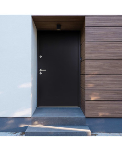 Porte d'entrée Aluminium Anthracite 110x207,5 cm | Mobilier & Déco