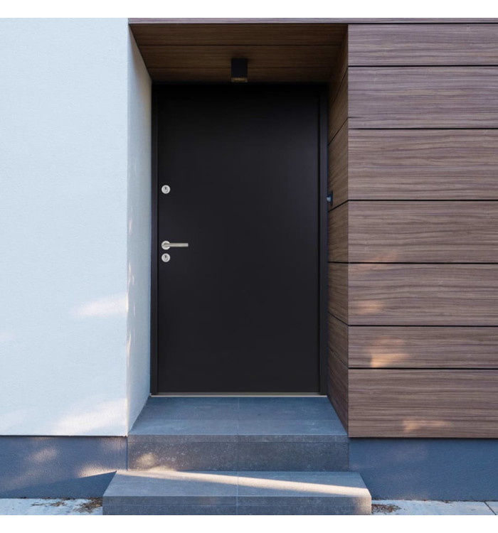 Porte d'entrée Aluminium Anthracite 110x207,5 cm | Mobilier & Déco