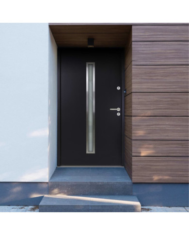 Porte d'entrée Aluminium Anthracite 110x207,5 cm | Mobilier & Déco
