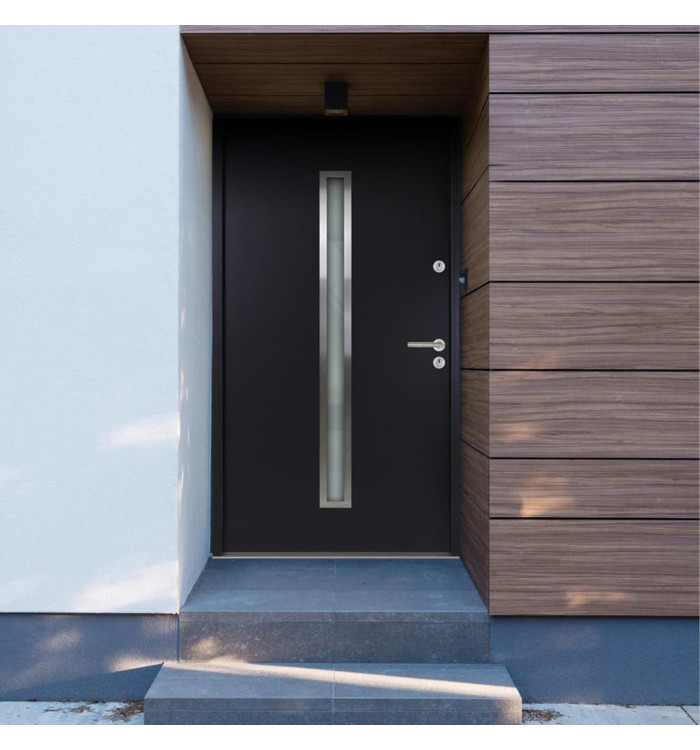 Porte d'entrée Aluminium Anthracite 110x207,5 cm | Mobilier & Déco