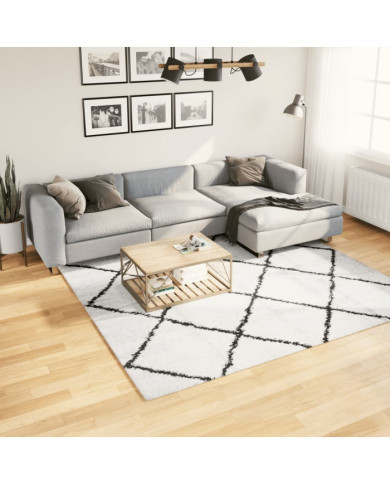 Tapis shaggy à poils longs moderne crème et noir 240x240 cm | Mobilier & Déco