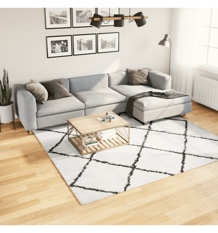 Tapis shaggy à poils longs moderne crème et noir 240x240 cm | Mobilier & Déco