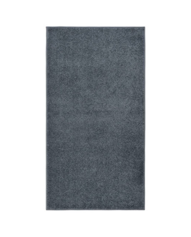 Tapis à poils courts 80x150 cm Anthracite | Mobilier & Déco