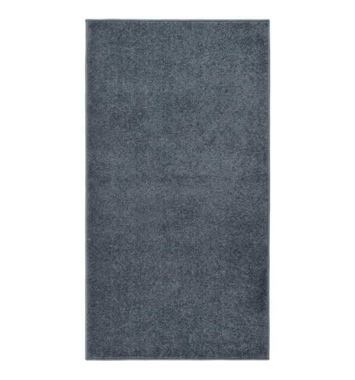 Tapis à poils courts 80x150 cm Anthracite | Mobilier & Déco