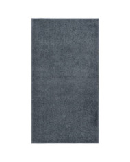 Tapis à poils courts 80x150 cm Anthracite | Mobilier & Déco