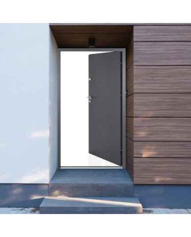 Porte d'entrée anthracite 100x200 cm aluminium | Mobilier & Déco