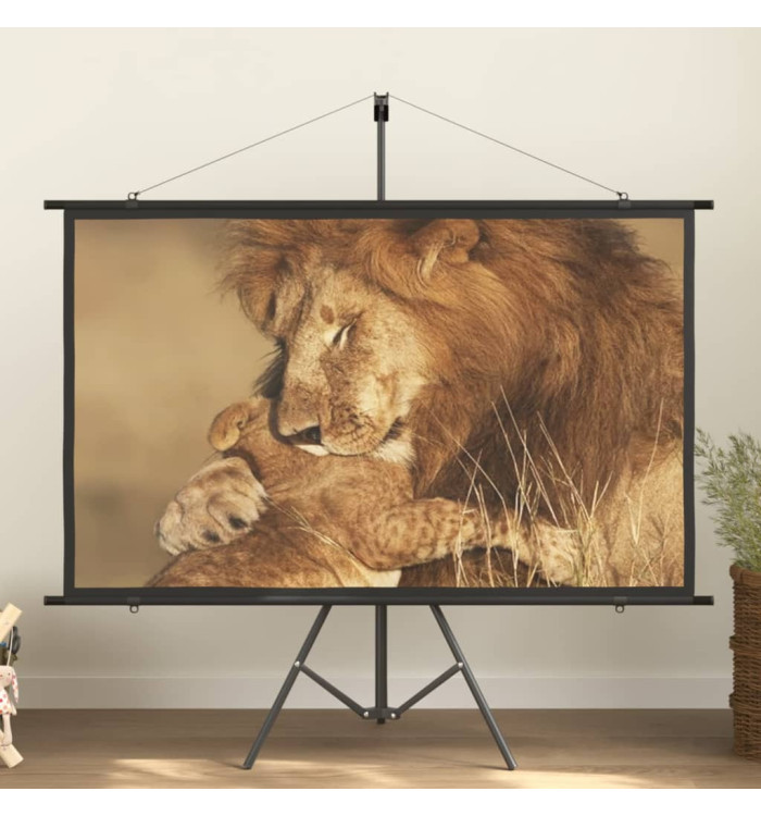 Écran de projection avec trépied 72" 16:9 | Mobilier & Déco