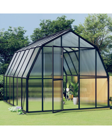 Serre avec cadre de base anthracite 9,53 m² Aluminium | Mobilier & Déco