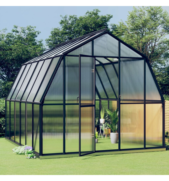 Serre avec cadre de base anthracite 9,53 m² Aluminium | Mobilier & Déco