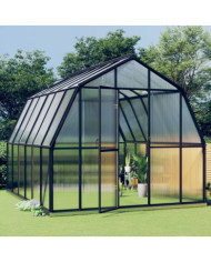Serre avec cadre de base anthracite 9,53 m² Aluminium | Mobilier & Déco