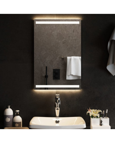 Miroir de salle de bain à LED 40x60 cm | Mobilier & Déco