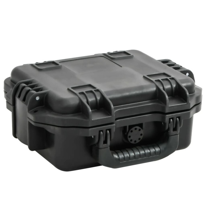 Valise de vol portable Noir 30x24,5x12,5 cm PP | Mobilier & Déco