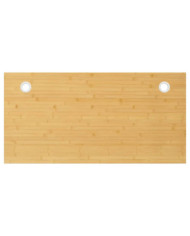Dessus de bureau 100x50x2,5 cm bambou | Mobilier & Déco