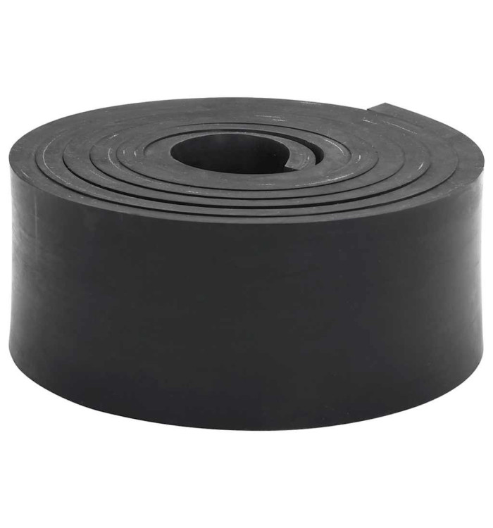 Bordure en caoutchouc de chasse-neige noir 300x8x1 cm | Mobilier & Déco